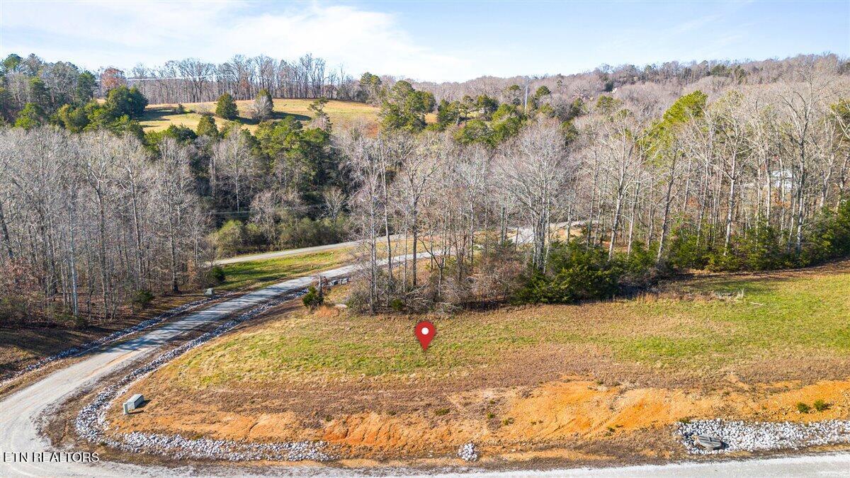 Norris Lake Real Estate - Image# 3
