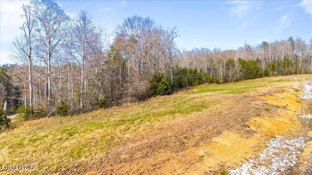 Norris Lake Real Estate - Image# 4