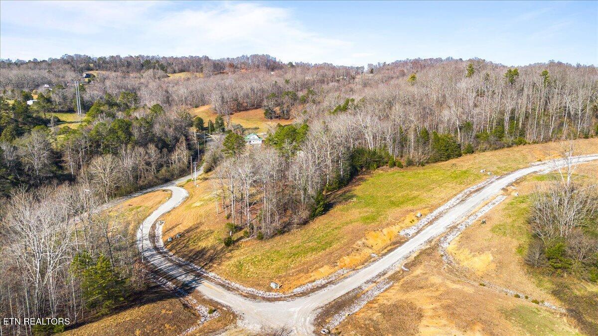 Norris Lake Real Estate - Image# 6