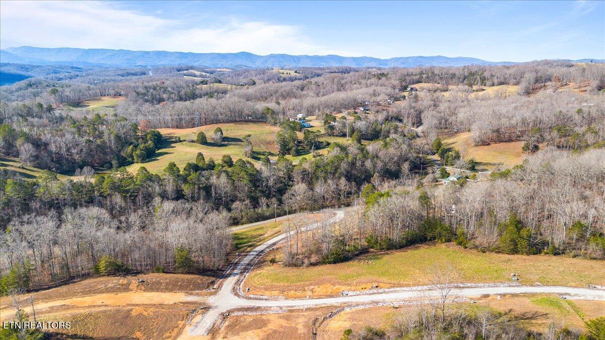 Norris Lake Real Estate - Image# 7