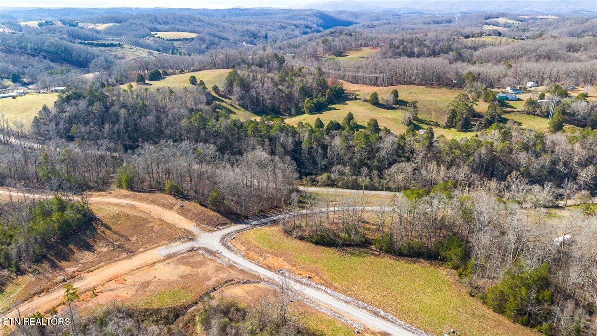 Norris Lake Real Estate - Image# 8