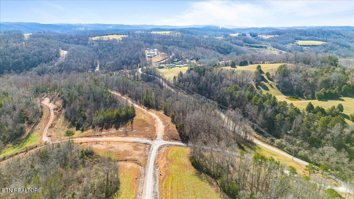 Norris Lake Real Estate - Image# 10