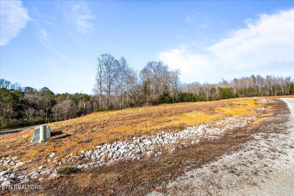 Norris Lake Real Estate - Image# 12