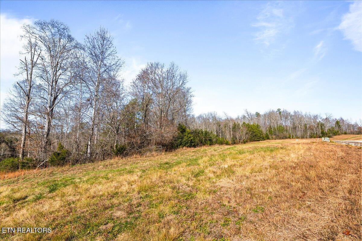 Norris Lake Real Estate - Image# 14