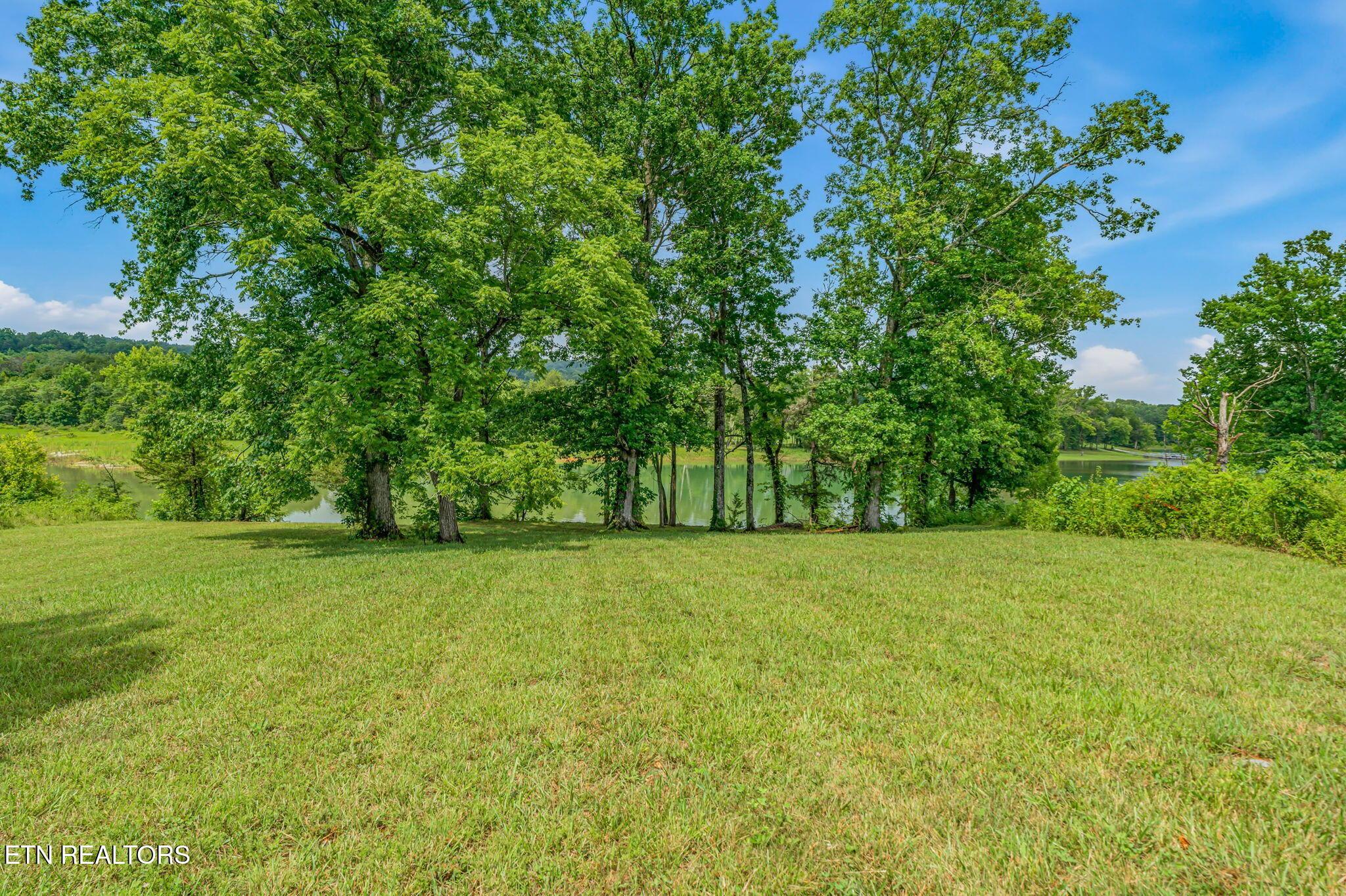 Norris Lake Real Estate - Image# 4