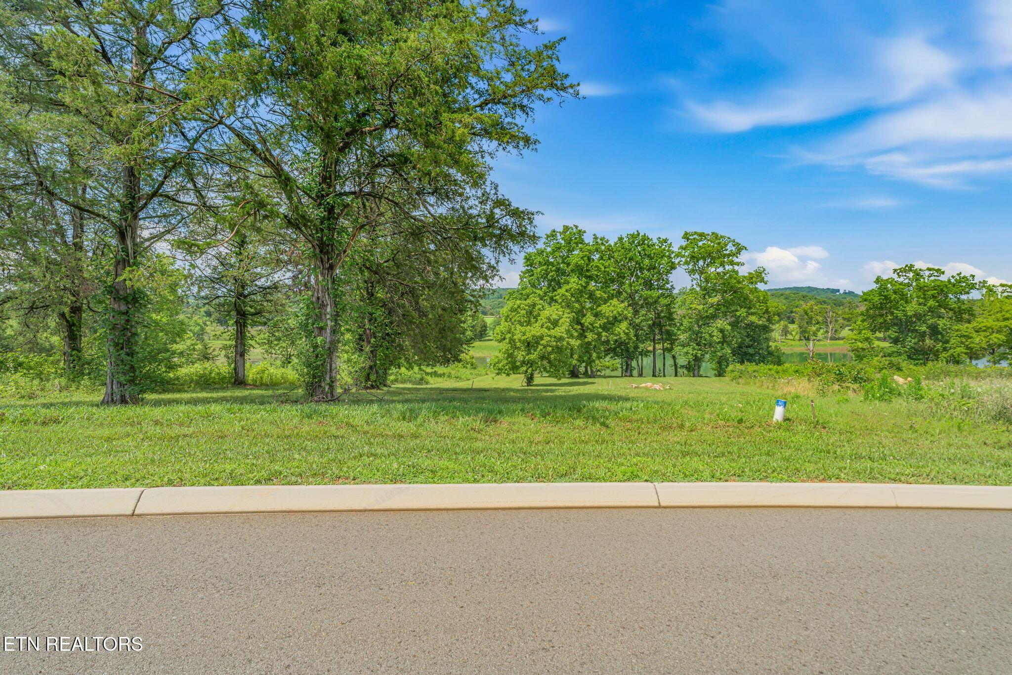 Norris Lake Real Estate - Image# 9