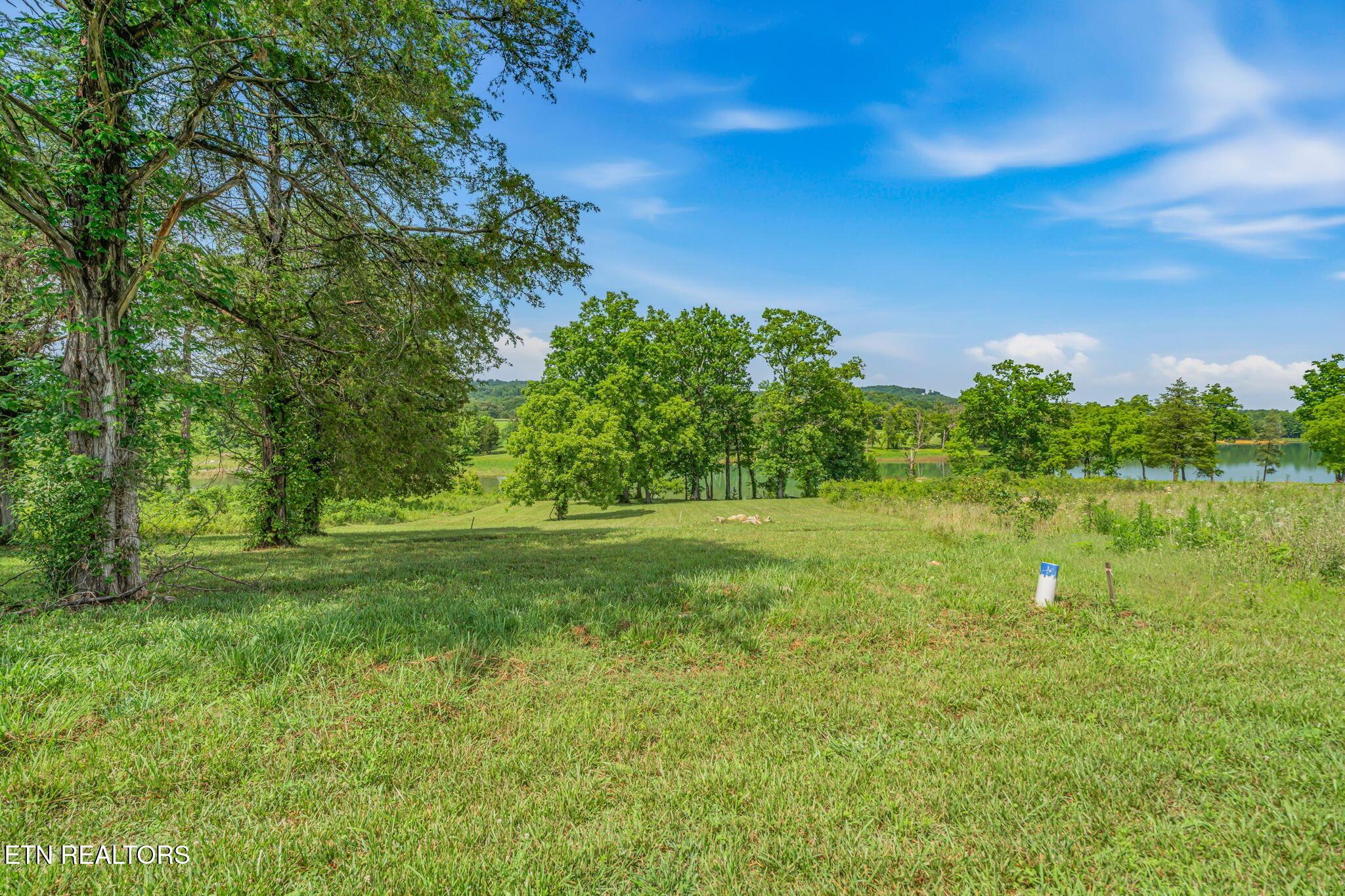 Norris Lake Real Estate - Image# 11