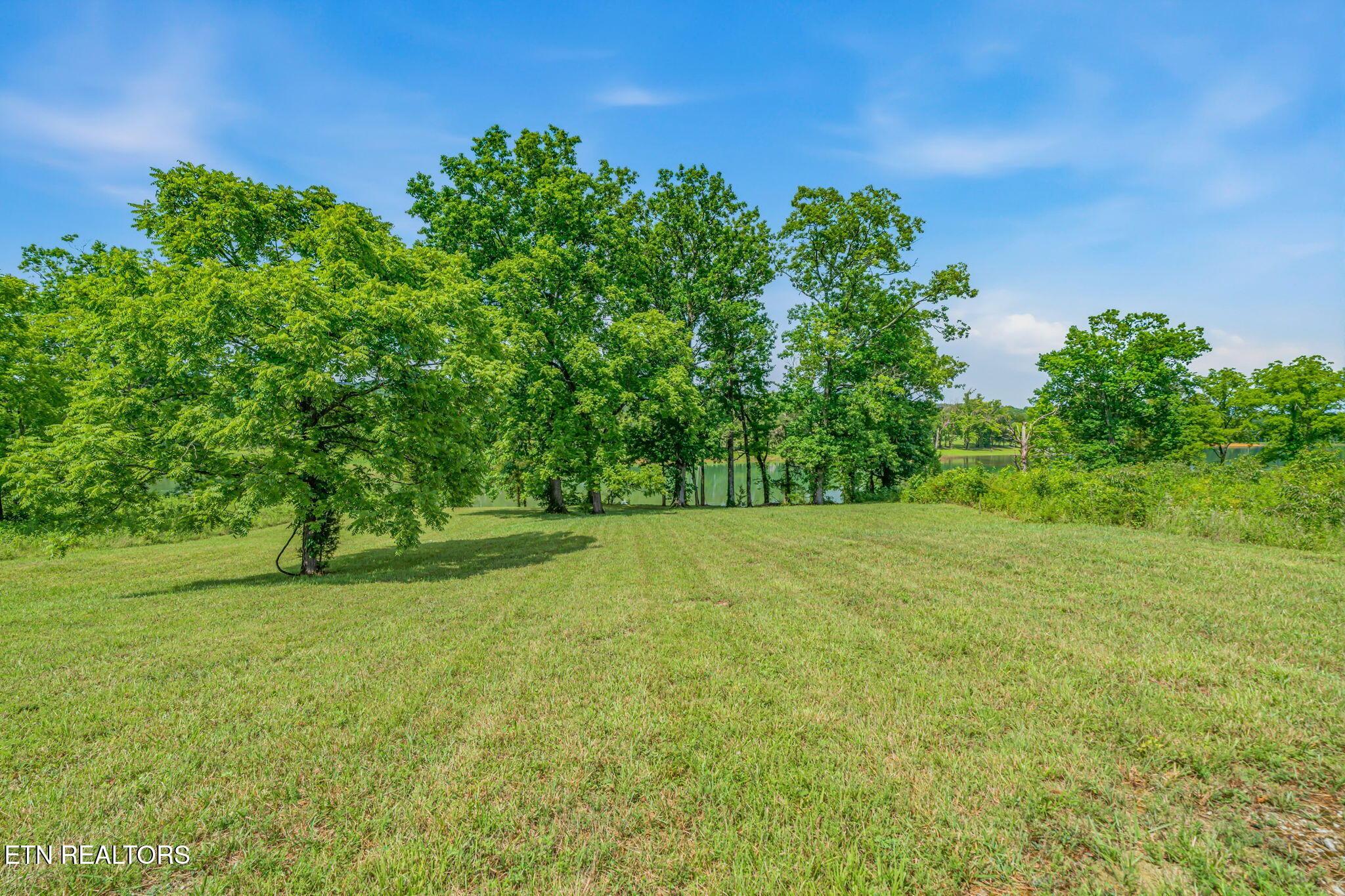 Norris Lake Real Estate - Image# 10