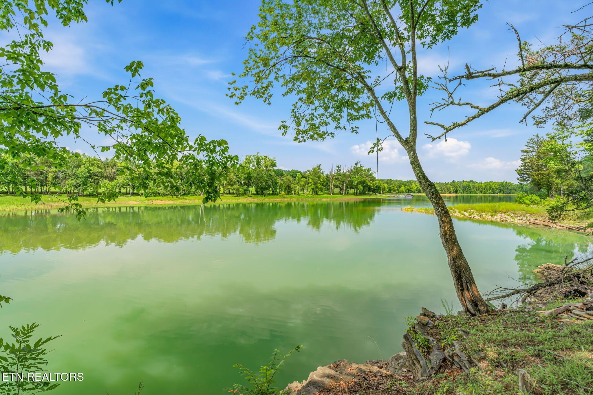 Norris Lake Real Estate - Image# 3