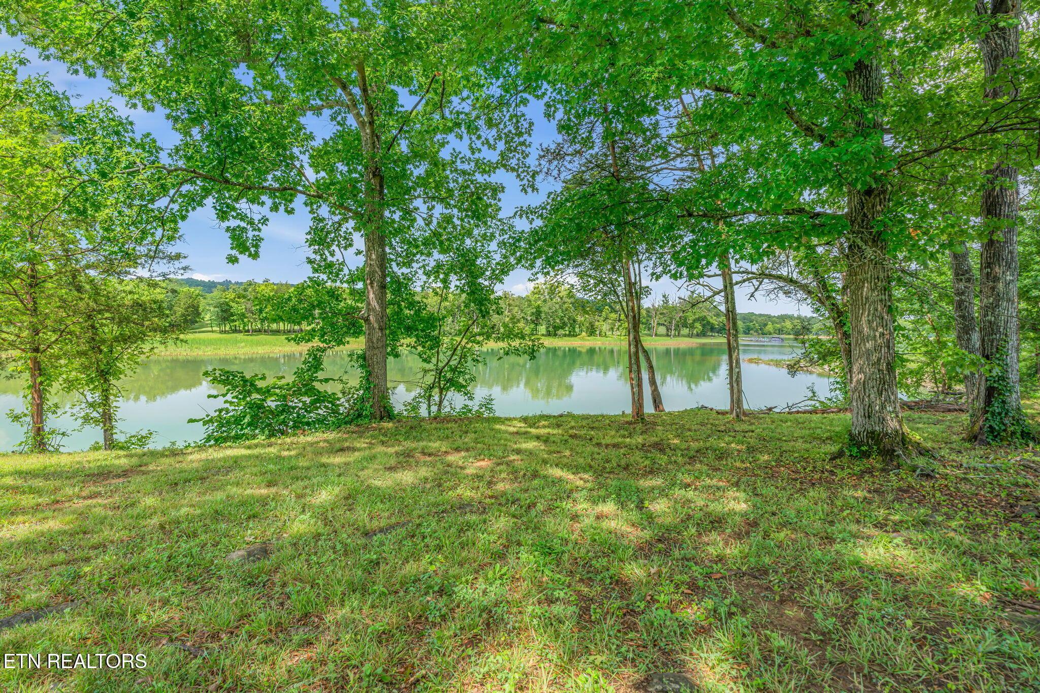 Norris Lake Real Estate - Image# 2