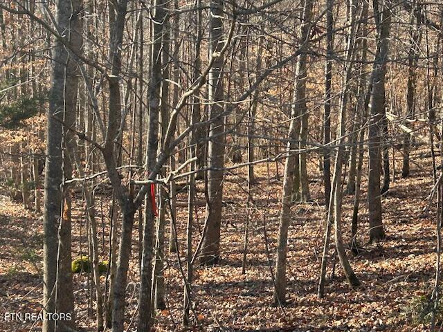 Norris Lake Real Estate - Image# 7