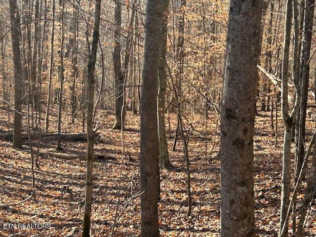 Norris Lake Real Estate - Image# 9
