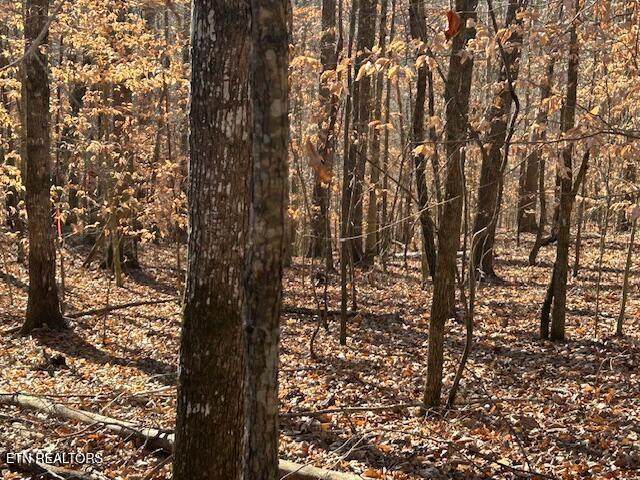 Norris Lake Real Estate - Image# 10