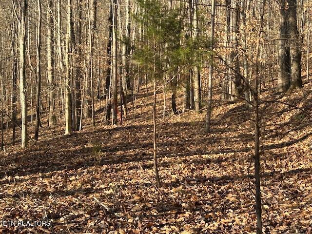 Norris Lake Real Estate - Image# 11