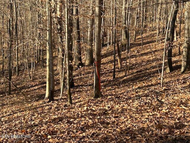 Norris Lake Real Estate - Image# 12