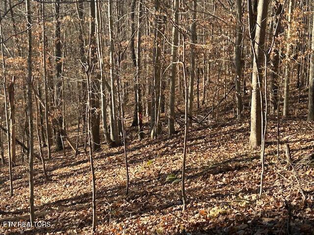 Norris Lake Real Estate - Image# 13