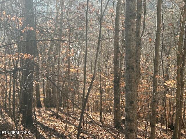 Norris Lake Real Estate - Image# 14