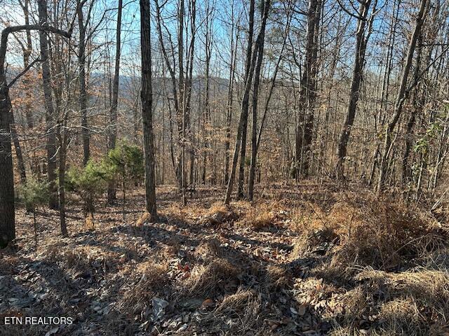 Norris Lake Real Estate - Image# 15