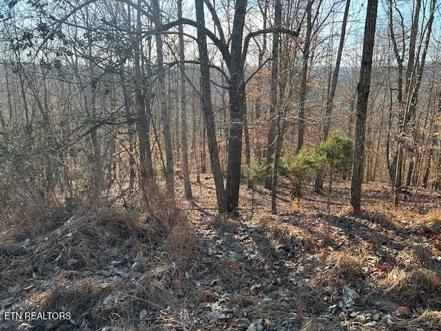 Norris Lake Real Estate - Image# 16