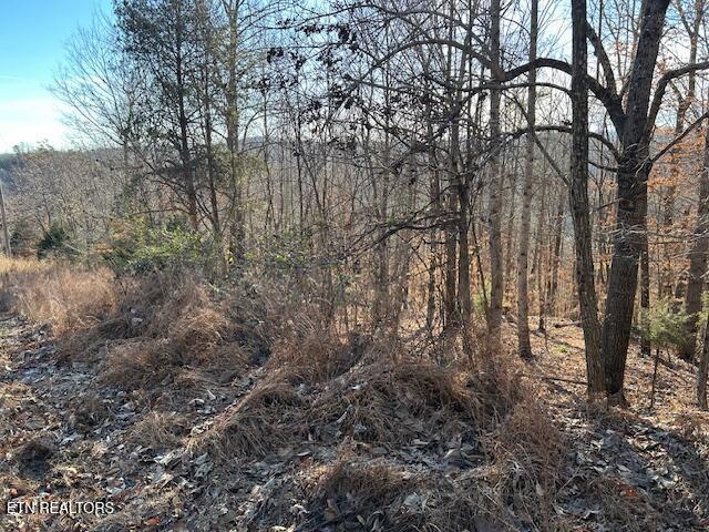 Norris Lake Real Estate - Image# 17