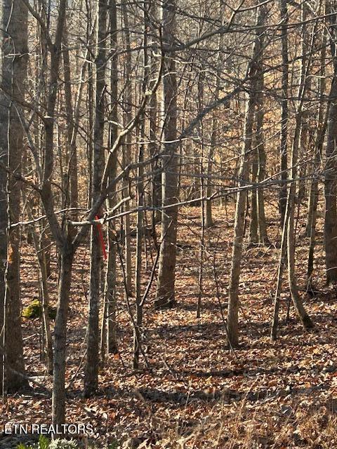 Norris Lake Real Estate - Image# 6