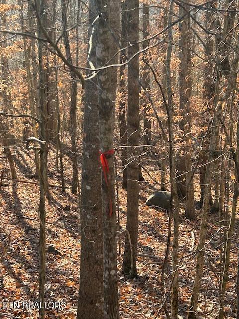 Norris Lake Real Estate - Image# 8