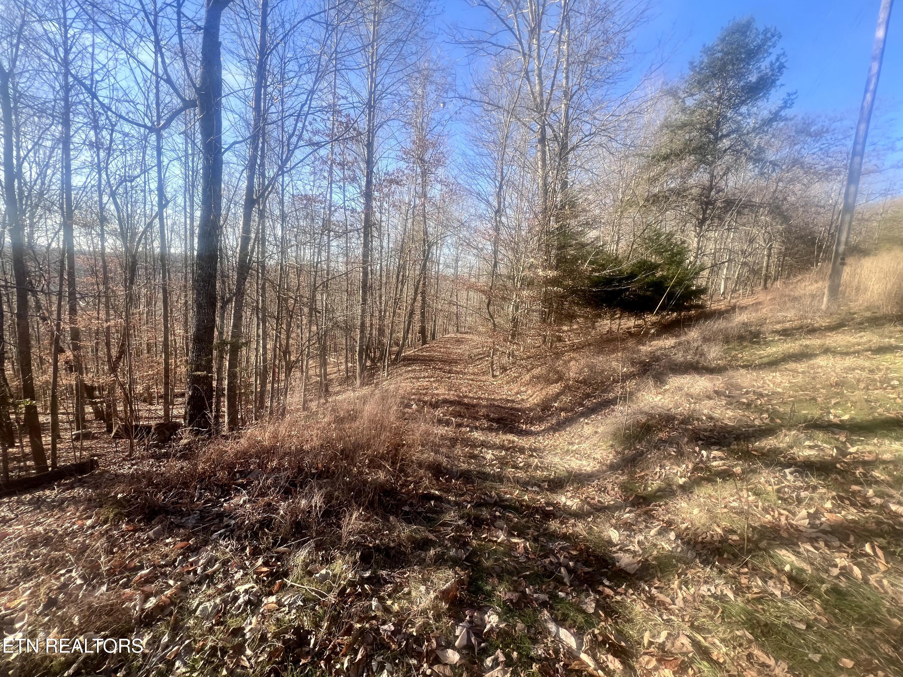 Norris Lake Real Estate - Image# 5
