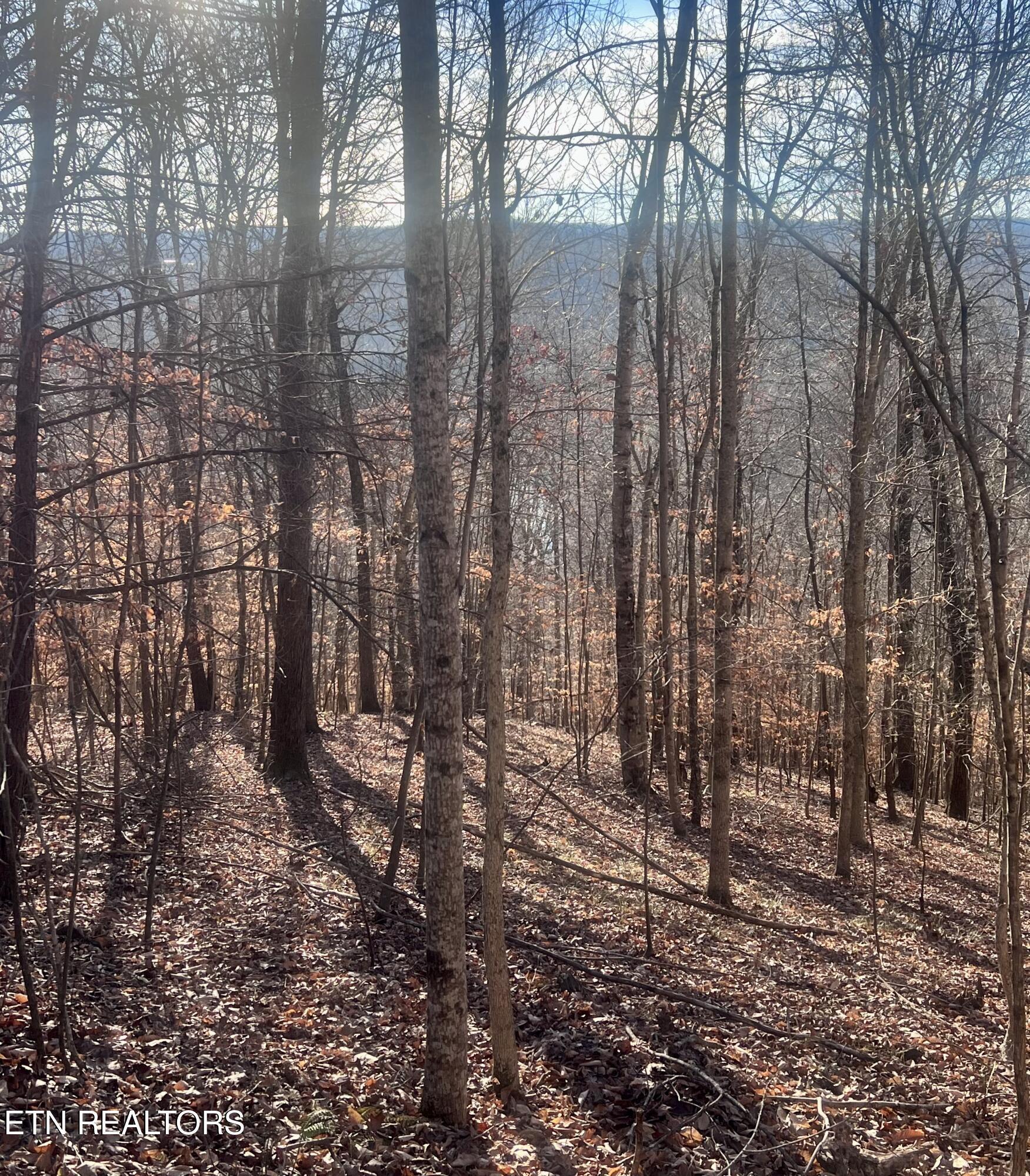 Norris Lake Real Estate - Image# 4