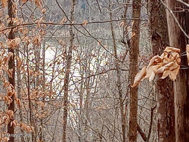 Norris Lake Real Estate - Image# 2