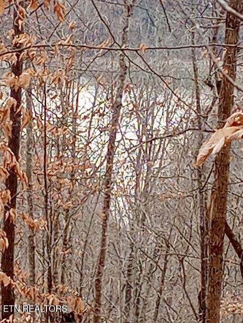 Norris Lake Real Estate - Image# 24