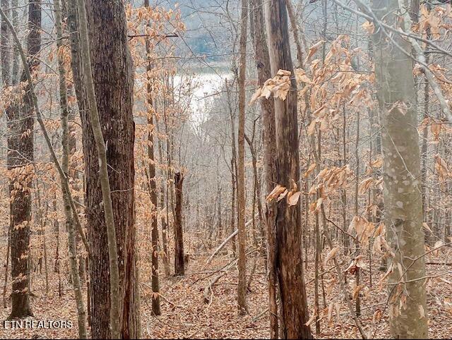 Norris Lake Real Estate - Image# 3