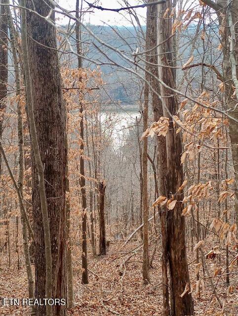 Norris Lake Real Estate - Image# 1