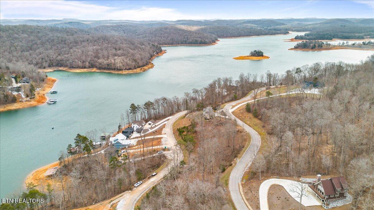 Norris Lake Real Estate - Image# 8