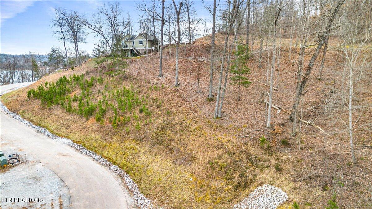 Norris Lake Real Estate - Image# 4