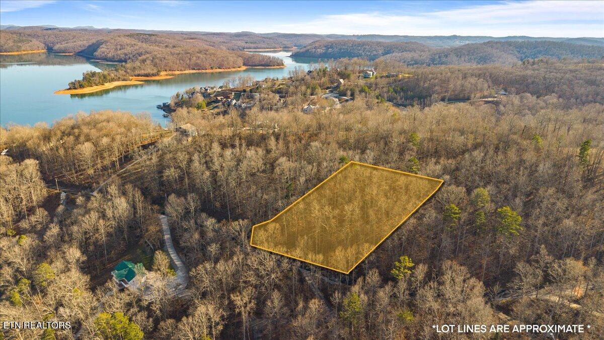 Norris Lake Real Estate - Image# 1