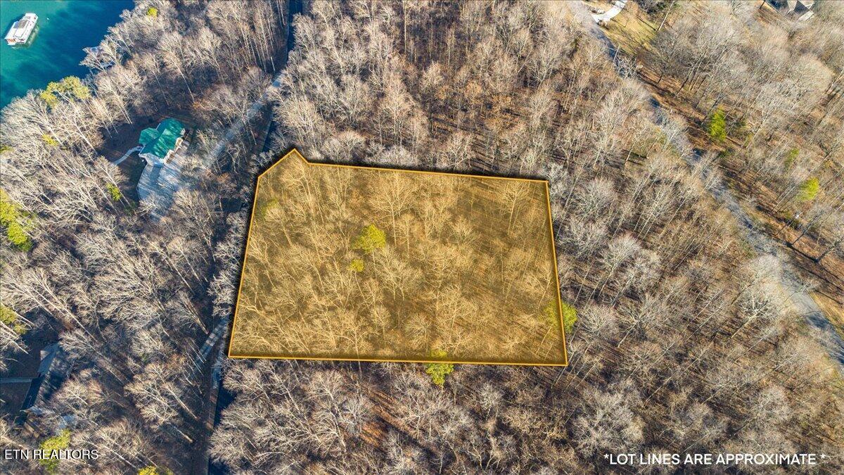 Norris Lake Real Estate - Image# 2