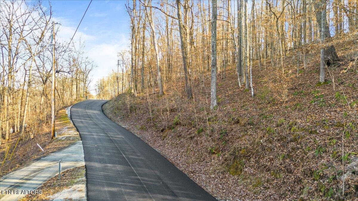 Norris Lake Real Estate - Image# 4