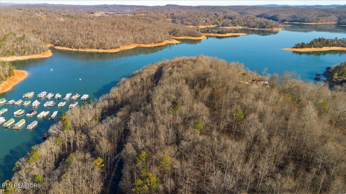 Norris Lake Real Estate - Image# 3