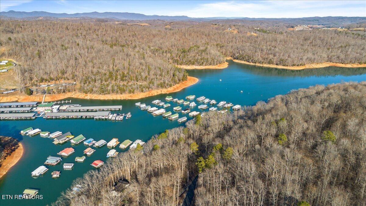Norris Lake Real Estate - Image# 5