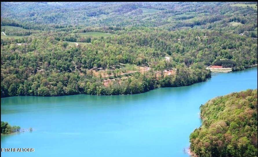 Norris Lake Real Estate - Image# 4