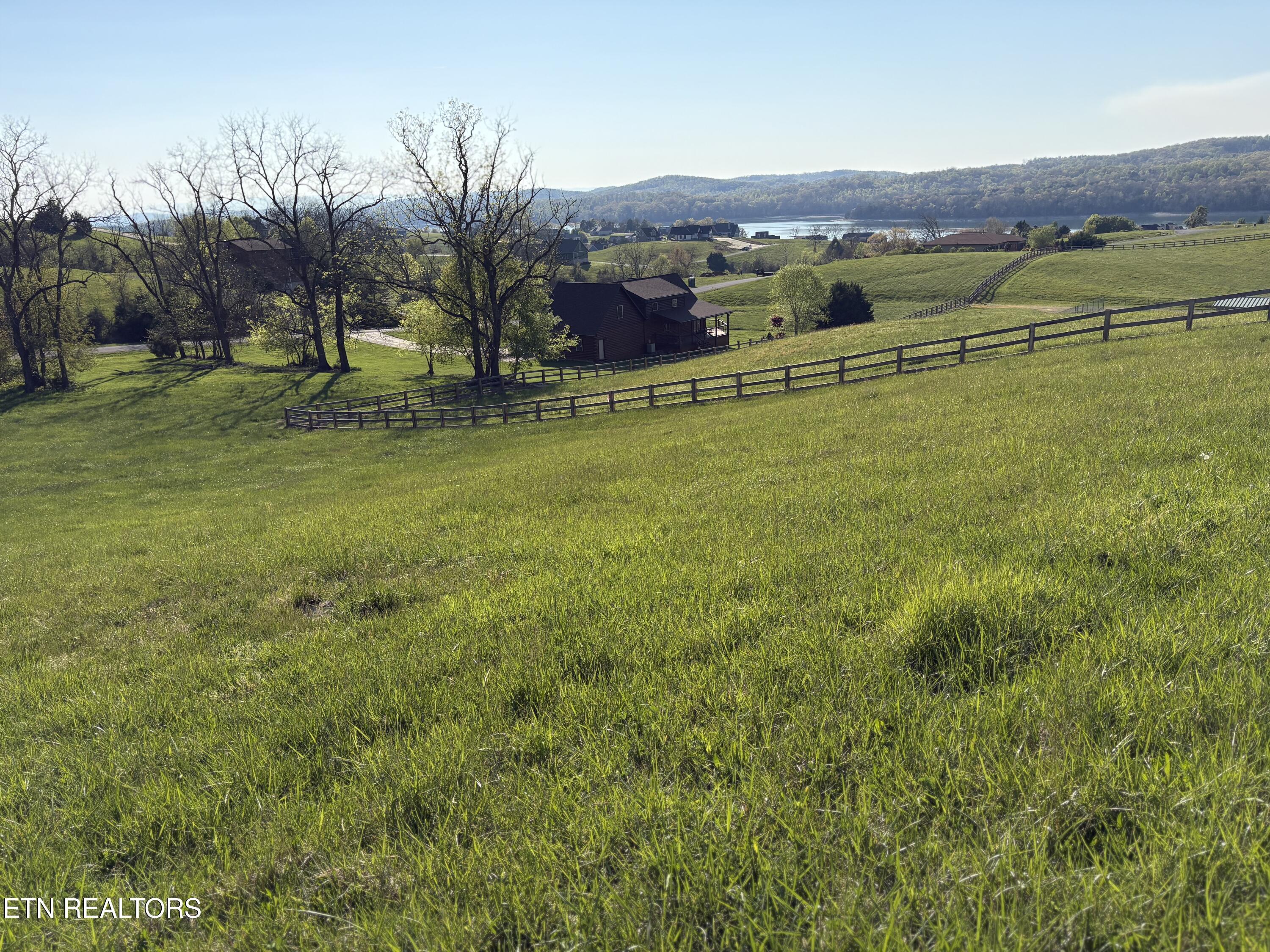 Norris Lake Real Estate - Image# 4