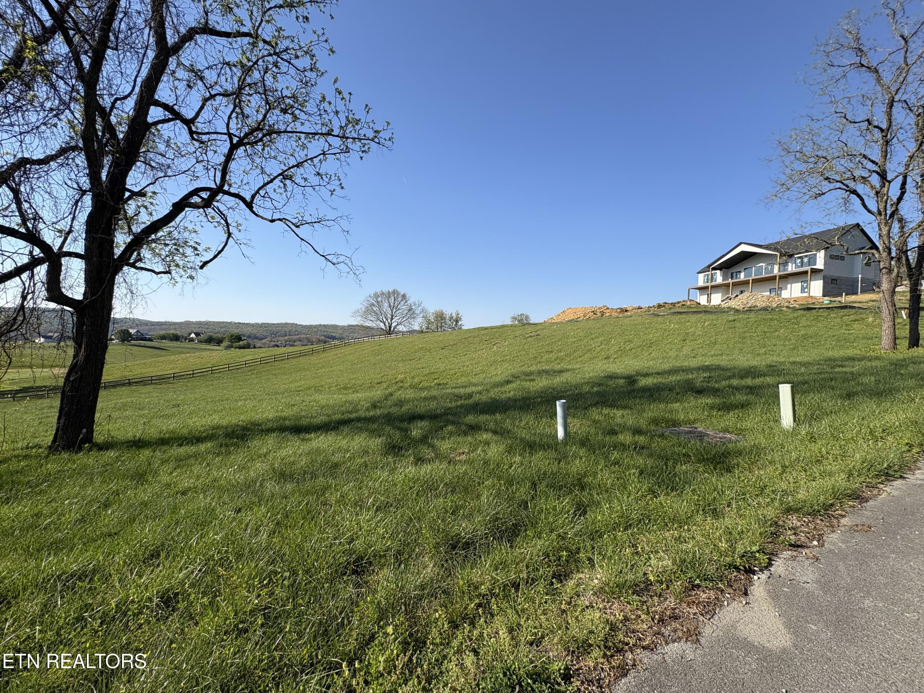 Norris Lake Real Estate - Image# 8
