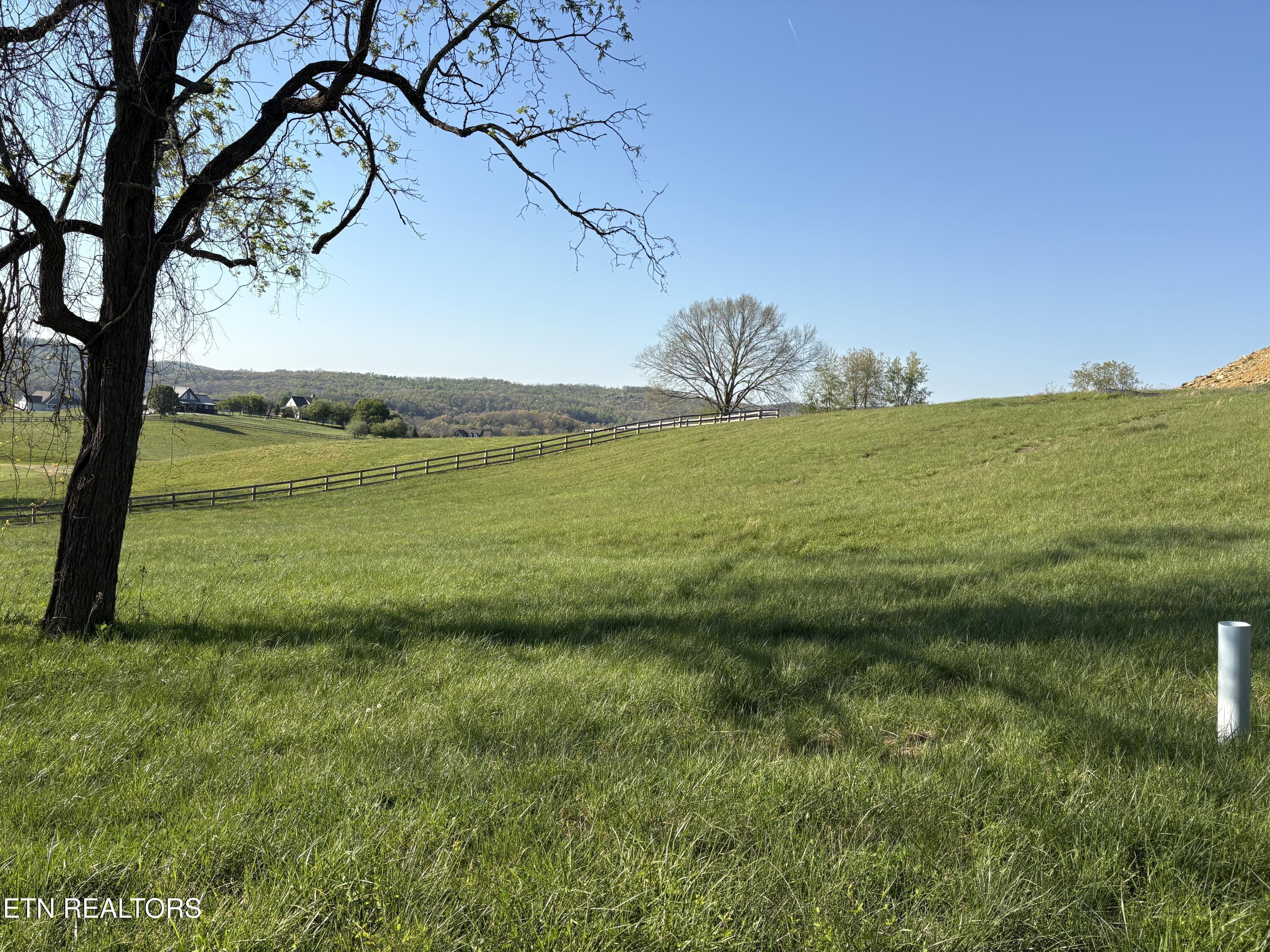Norris Lake Real Estate - Image# 10