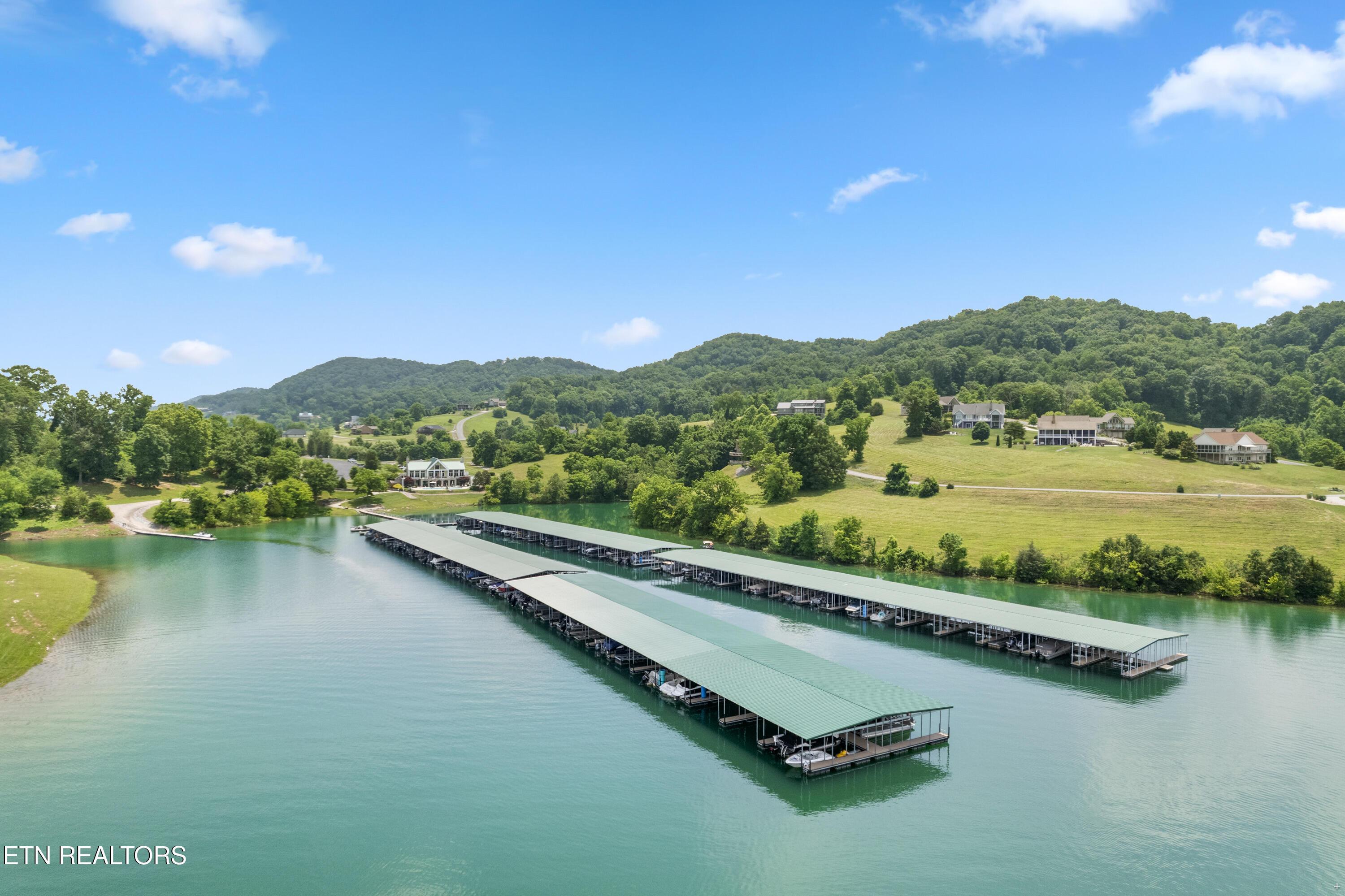 Norris Lake Real Estate - Image# 18