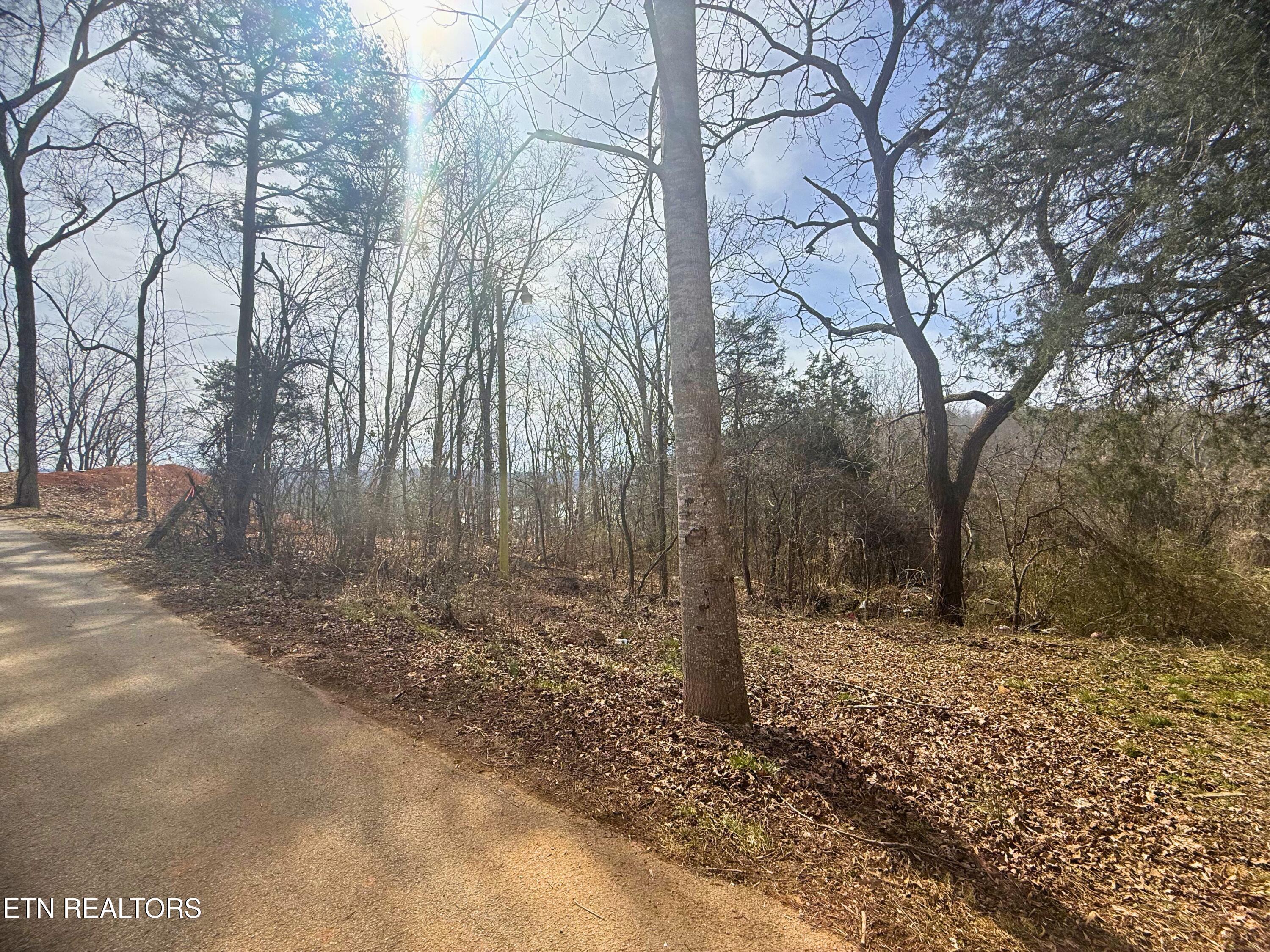Norris Lake Real Estate - Image# 2