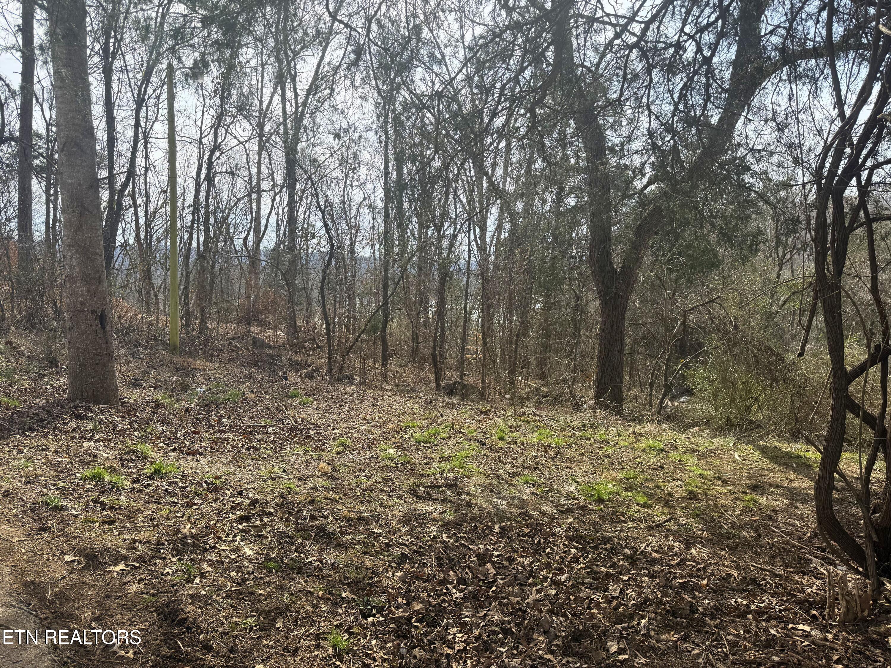 Norris Lake Real Estate - Image# 4