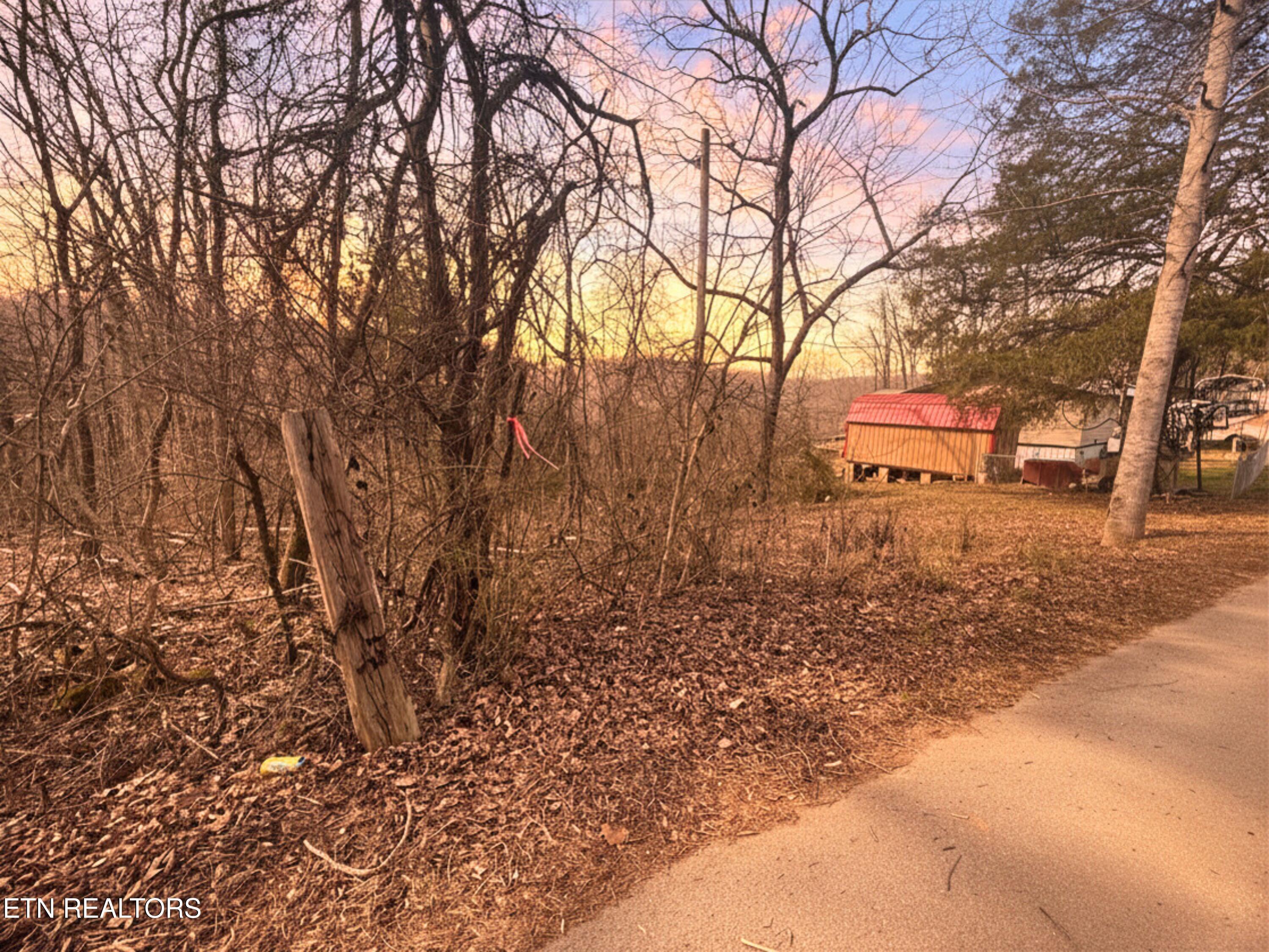 Norris Lake Real Estate - Image# 5