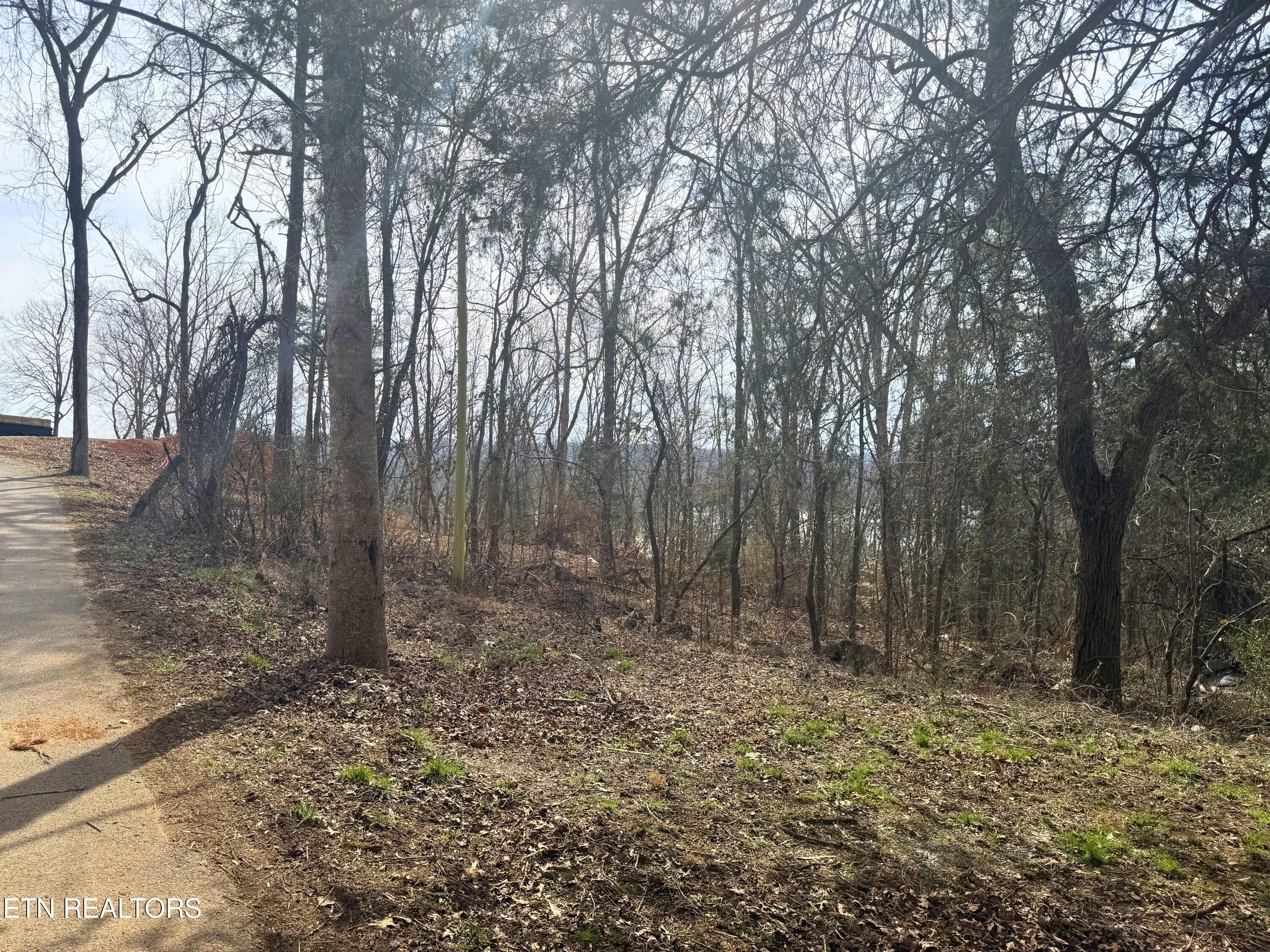 Norris Lake Real Estate - Image# 3