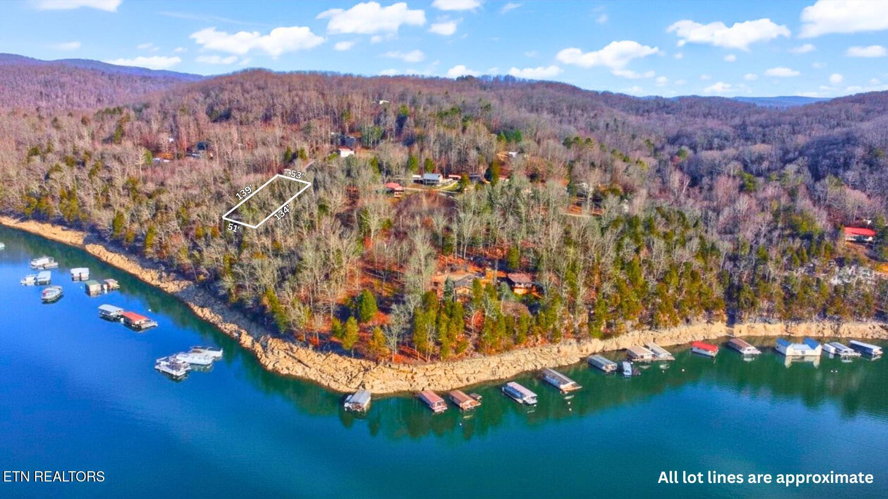 Norris Lake Real Estate - Image# 9