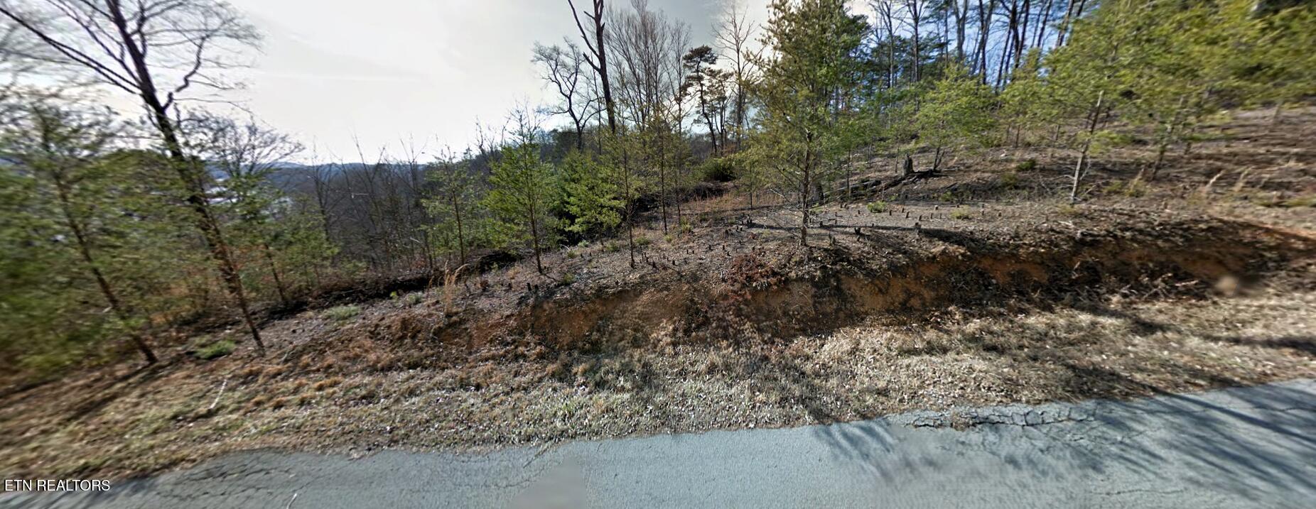 Norris Lake Real Estate - Image# 1